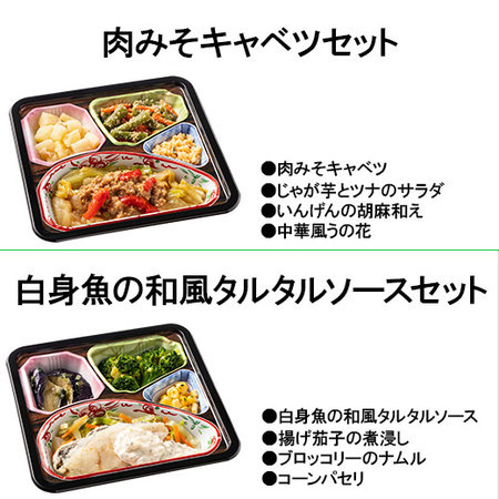 宅菜便　はなまる御膳１０食（お試しFセット）+ごはんみそ汁