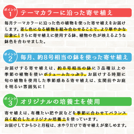 季節を彩る！カラーガーデニング　定期コース（継続）