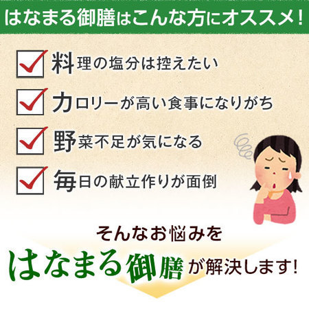 宅菜便　はなまる御膳24回コース+ごはん10食セット　定期コース（全２４回）