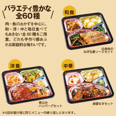 宅菜便　はなまる御膳24回コース+ごはん10食セット　定期コース（全２４回）