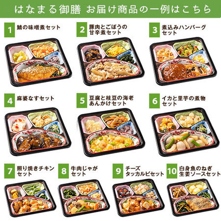 宅菜便　はなまる御膳24回コース+ごはん10食セット　定期コース（全２４回）