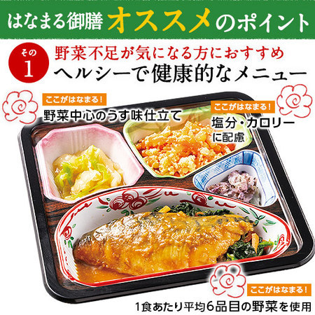宅菜便　はなまる御膳24回コース+ごはんみそ汁10食セット　定期コース（全２４回）