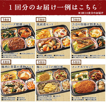 宅菜便　おふくろ御膳24回コース+ごはんみそ汁10食セット　定期コース（全２４回）