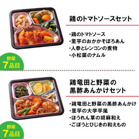 宅菜便　からだ想いのはれやか御膳24回コース+ごはん10食セット　定期コース（全２４回）