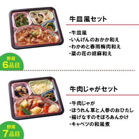 宅菜便　からだ想いのはれやか御膳24回コース+ごはん10食セット　定期コース（全２４回）