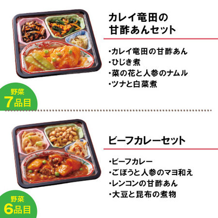 宅菜便　からだ想いのはれやか御膳24回コース+ごはんみそ汁10食セット　定期コース（全２４回）