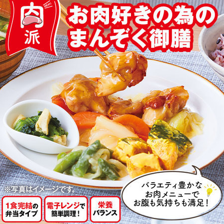 宅菜便　お肉好きのための満足御膳24回コース+ごはん10食セット　定期コース（年２４回）