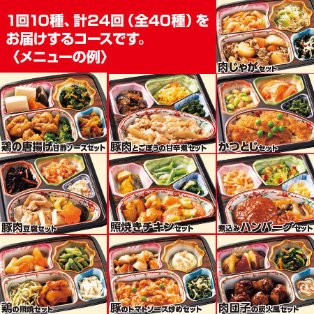 宅菜便　お肉好きのための満足御膳24回コース+ごはんみそ汁10食セット　定期コース（年２４回）
