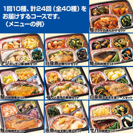 宅菜便　お魚づくしのこだわり御膳24回コース+ごはんみそ汁10食セット　定期コース（年２４回）
