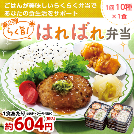 宅菜便　第2弾らく旨！はればれ弁当24回コース　定期コース（年２４回）