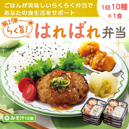 宅菜便　第2弾らく旨！はればれ弁当24回コース+みそ汁10食セット　定期コース（年２４回）