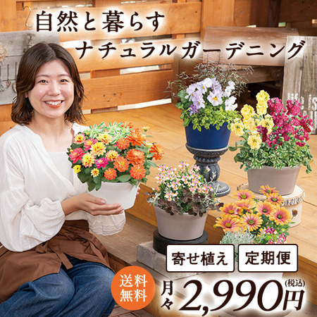 自然と暮らす　ナチュラルガーデニング　定期コース（継続）