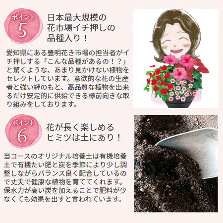 彩りいっぱい！花あふれる寄せ植え便　定期コース（年１２回）