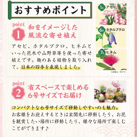季節を楽しむ花便り　定期コース（年１２回）