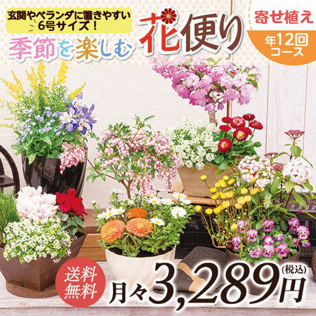 季節を楽しむ花便り　定期コース（年１２回）