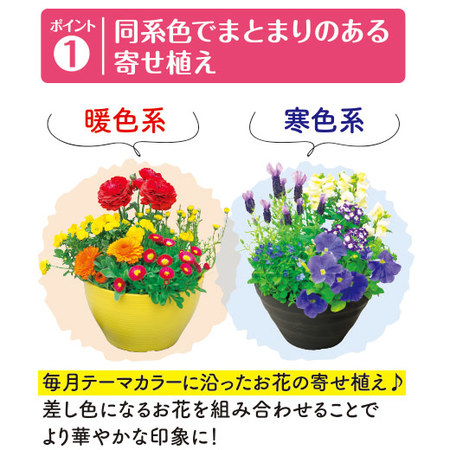 季節を彩る！カラーガーデニング　定期コース（年１２回）