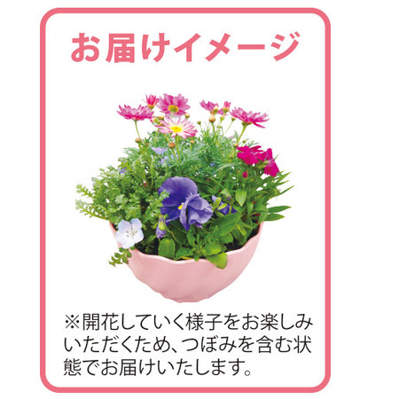 季節を彩る！カラーガーデニング　定期コース（年１２回）