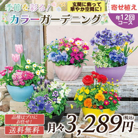 季節を彩る！カラーガーデニング　定期コース（年１２回）
