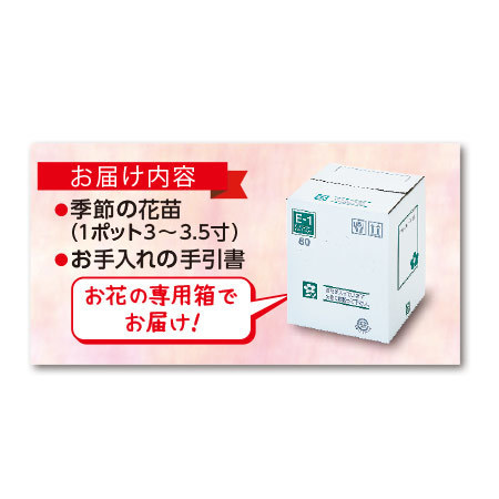 市場直送！季節の苗だより　ミニプラン　定期コース（年１２回）