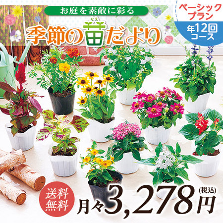 市場直送！季節の苗だより　ベーシックプラン　定期コース（年１２回）