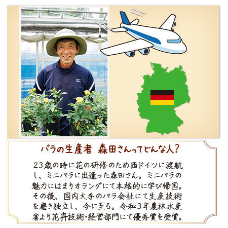 バラのプロ！森田監修【僕のおすすめ！ミニバラ自慢】定期コース（年１２回）