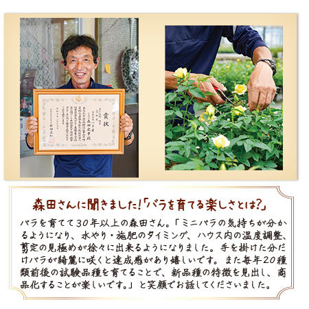 バラのプロ！森田監修【僕のおすすめ！ミニバラ自慢】定期コース（年１２回）