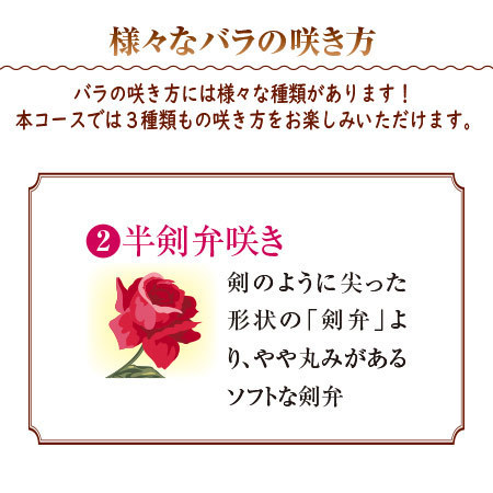 バラのプロ！森田監修【僕のおすすめ！ミニバラ自慢】定期コース（年１２回）