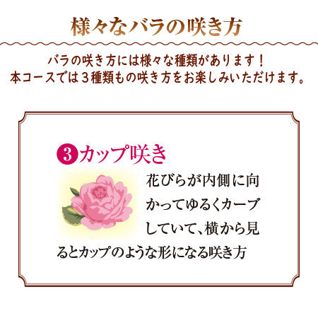 バラのプロ！森田監修【僕のおすすめ！ミニバラ自慢】定期コース（年１２回）