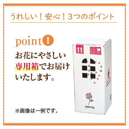 バラのプロ！森田監修【僕のおすすめ！ミニバラ自慢】定期コース（年１２回）