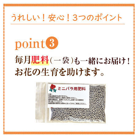 バラのプロ！森田監修【僕のおすすめ！ミニバラ自慢】定期コース（年１２回）