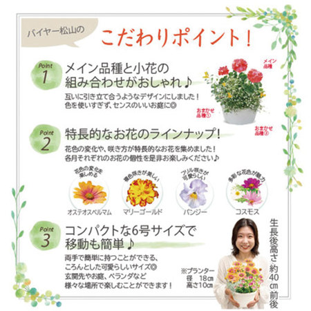 自然と暮らす　ナチュラルガーデニング　定期コース（年１２回）