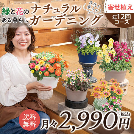 自然と暮らす　ナチュラルガーデニング　定期コース（年１２回）