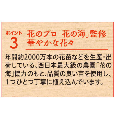 すくすく育つ！華やかデザインガーデニング　定期コース（年１２回）