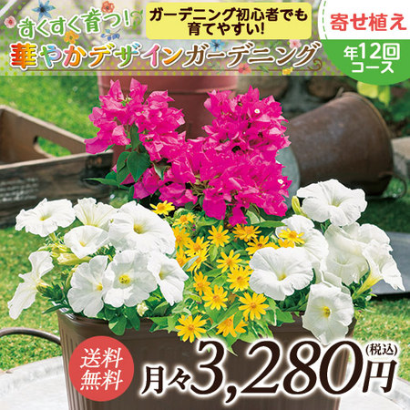 すくすく育つ！華やかデザインガーデニング　定期コース（年１２回）